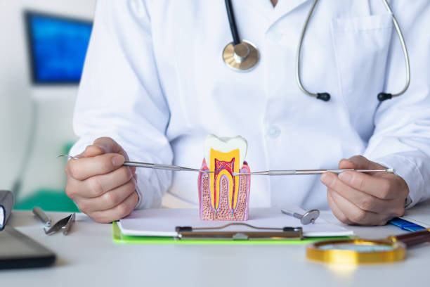 Best Knocked-Out Tooth (Avulsed Tooth) Treatment in Clinton, PA
